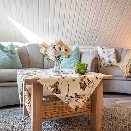 度假居 Friccius *