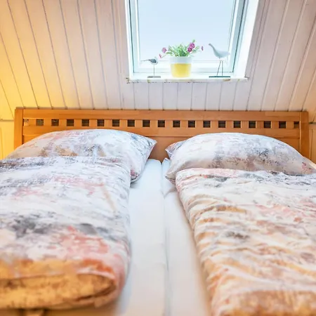 度假居 Friccius *