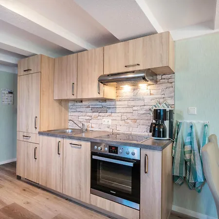 Friccius Schulp (Dithmarschen)