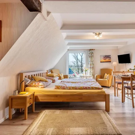 Friccius Holiday home *