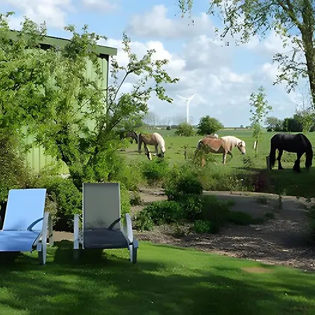 Friccius * Schulp (Dithmarschen)