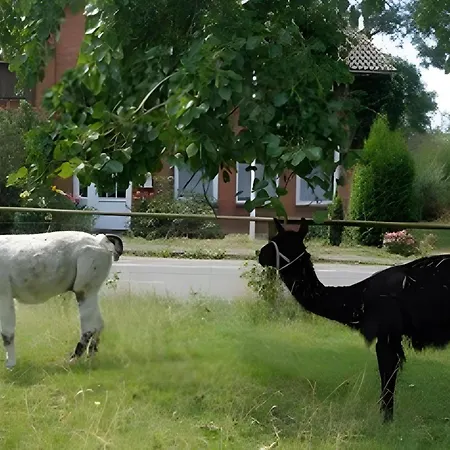 Friccius 度假居 *